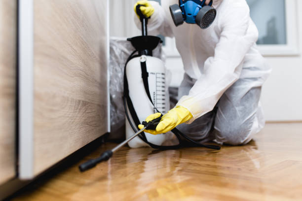 Best Best Pest Control Companies  in Anthony, TX
