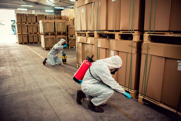 Best Affordable Pest Control Services  in Anthony, TX
