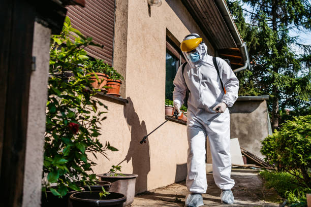Best Pest Removal Services  in Anthony, TX