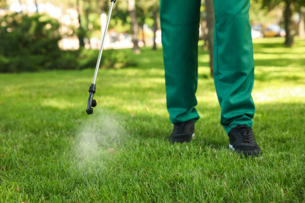 Best Residential Pest Control  in Anthony, TX