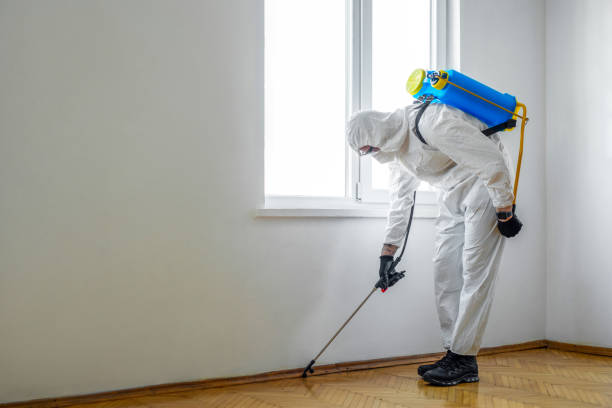 Best Wasp Removal Services  in Anthony, TX