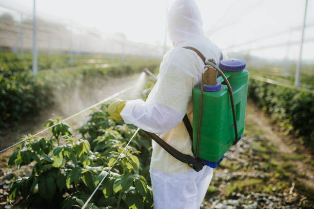 Best Affordable Pest Control Services  in Anthony, TX